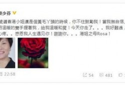 最新香港娱乐圈真实爆料,独家揭秘明星幕后真相