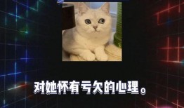 吃瓜网娱乐八卦视频在线观看,热门娱乐八卦视频在线观看，揭秘明星幕后故事