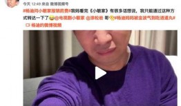 直播爆料杨迪视频,精彩瞬间盘点